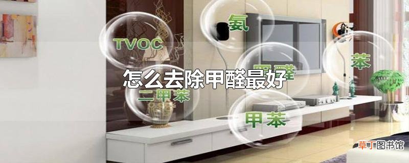 怎么去除甲醛最好