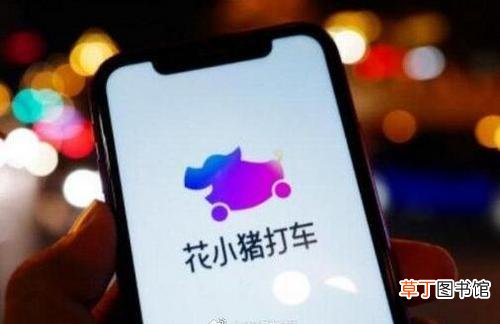 花小猪被点名 交通部再次点名花小猪