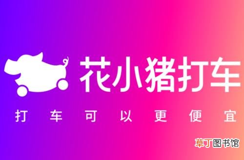 花小猪被点名 交通部再次点名花小猪