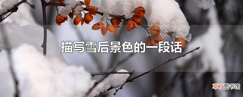 描写雪后景色的一段话