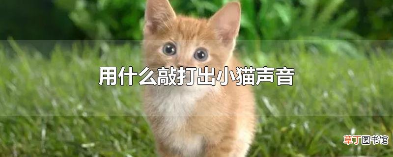 用什么敲打出小猫声音