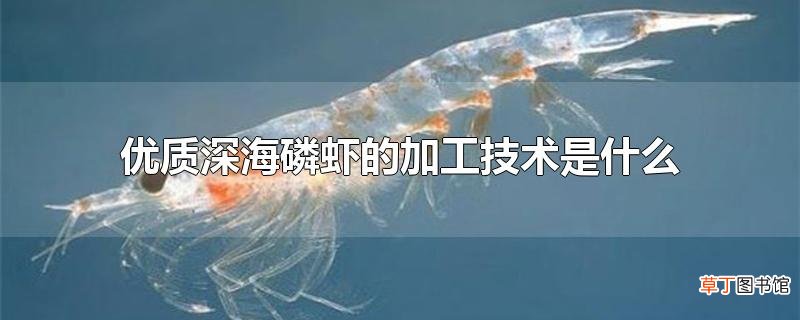 优质深海磷虾的加工技术是什么