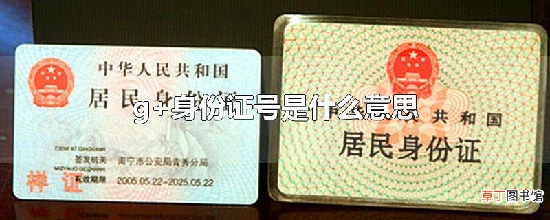 g+身份证号是什么意思