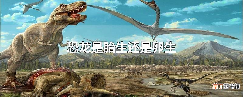恐龙是胎生还是卵生