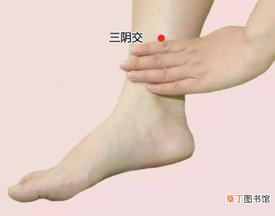 三阴交的位置在哪里？