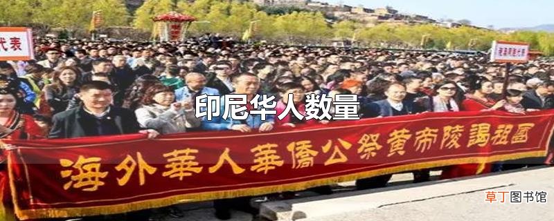 印尼华人数量