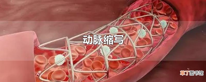 动脉缩写