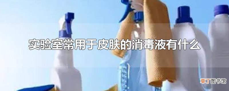 实验室常用于皮肤的消毒液有什么