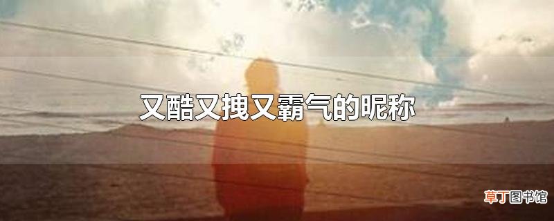 又酷又拽又霸气的昵称