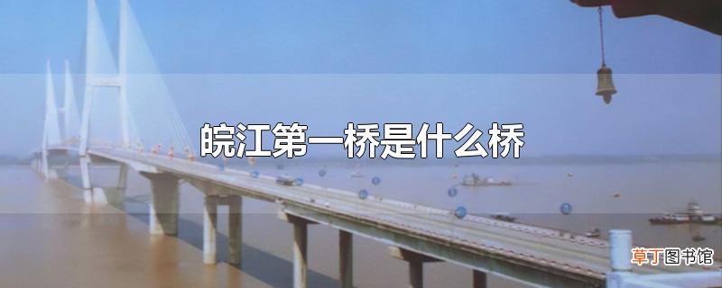 皖江第一桥是什么桥