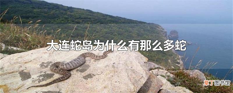 大连蛇岛为什么有那么多蛇