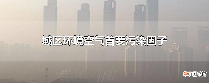 城区环境空气首要污染因子