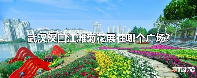 武汉汉口江滩菊花展在哪个广场?
