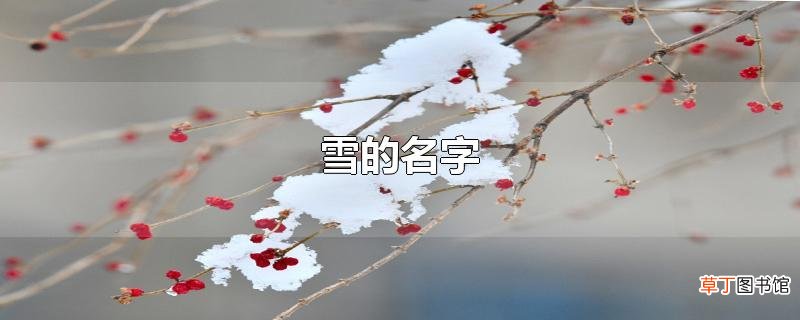 雪的名字