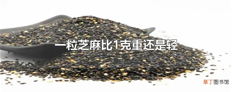 一粒芝麻比1克重还是轻