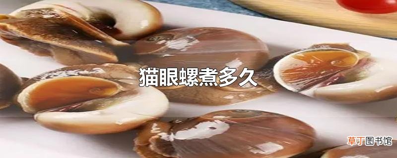 猫眼螺煮多久