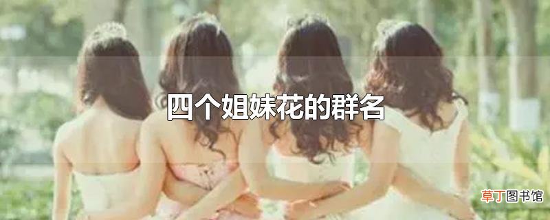四个姐妹花的群名