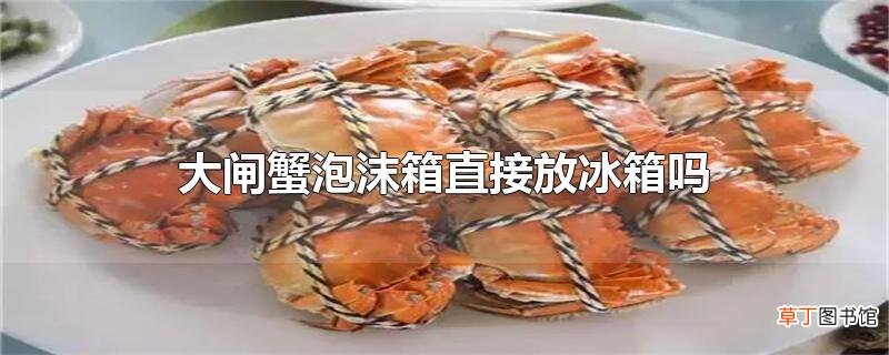 大闸蟹泡沫箱直接放冰箱吗