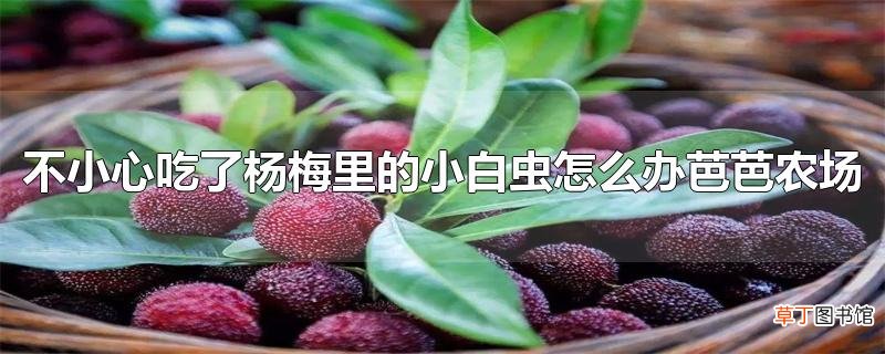 不小心吃了杨梅里的小白虫怎么办芭芭农场