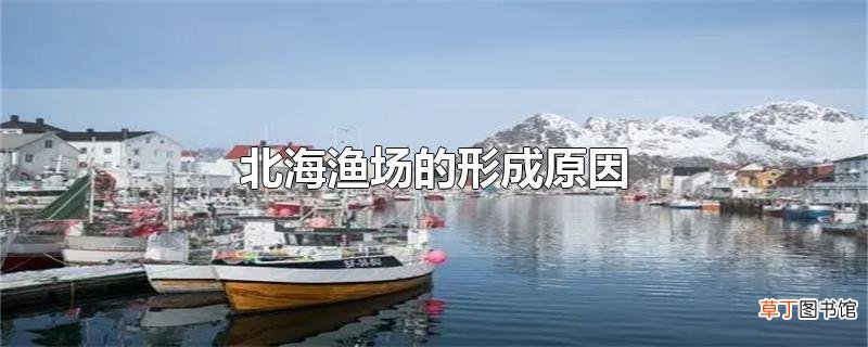 北海渔场的形成原因