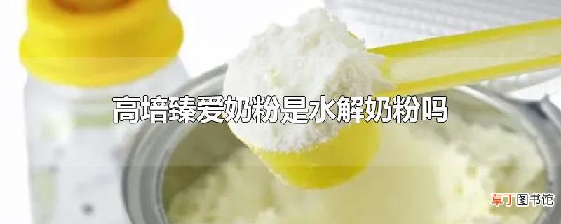 高培臻爱奶粉是水解奶粉吗