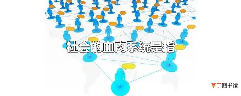 社会的血肉系统是指
