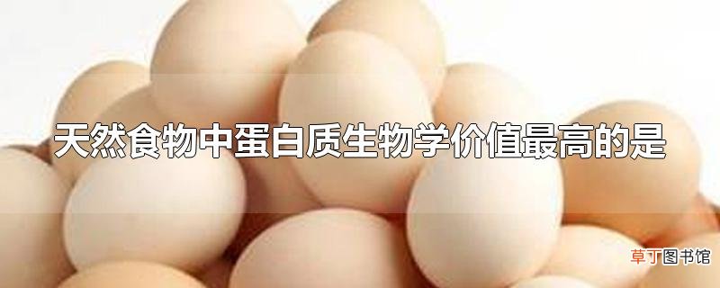 天然食物中蛋白质生物学价值最高的是