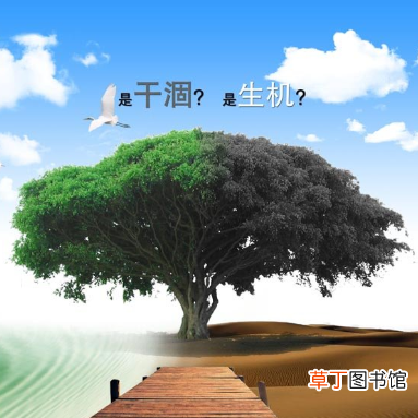 公益广告播出数量不得少于多少？