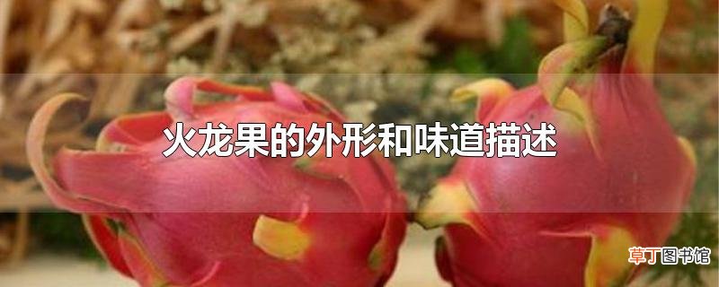 火龙果的外形和味道描述