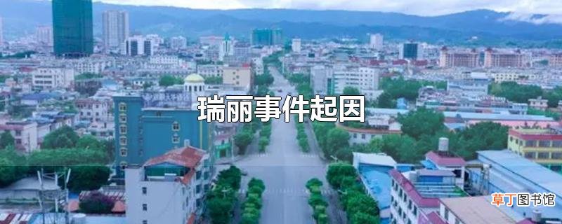 瑞丽事件起因