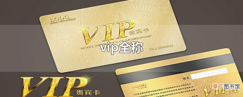 vip全称