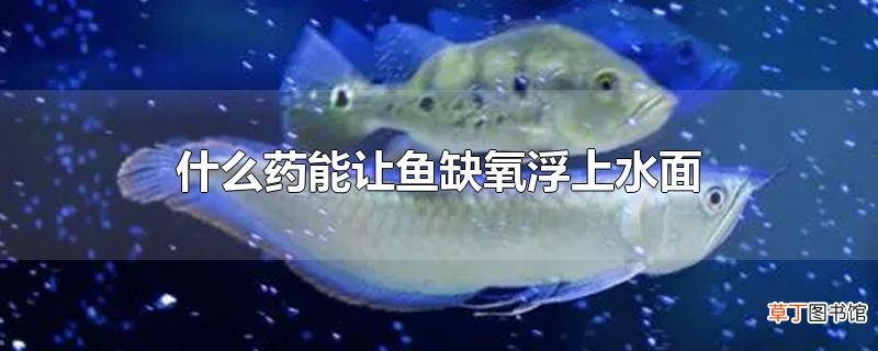 什么药能让鱼缺氧浮上水面