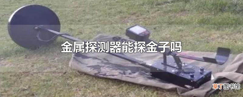 金属探测器能探金子吗