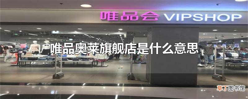 唯品奥莱旗舰店是什么意思
