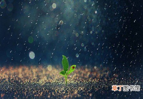 描写雨的诗句有哪些？