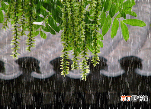 描写雨的诗句有哪些？