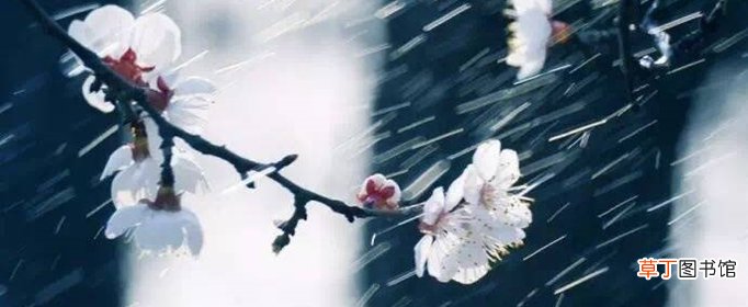 描写雨的诗句有哪些？