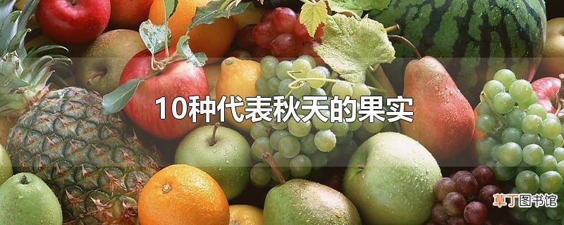 10种代表秋天的果实