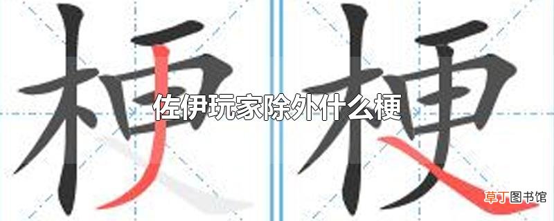 佐伊玩家除外什么梗
