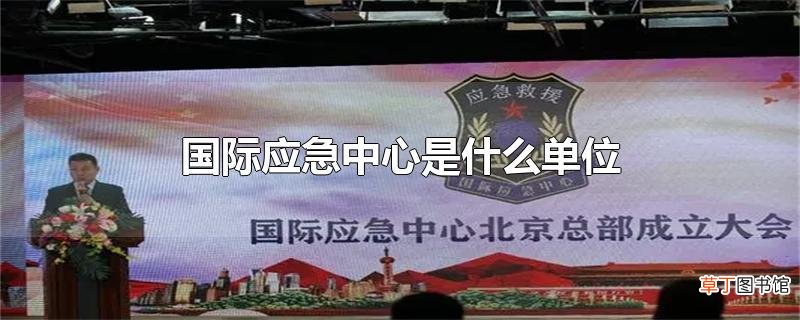 国际应急中心是什么单位