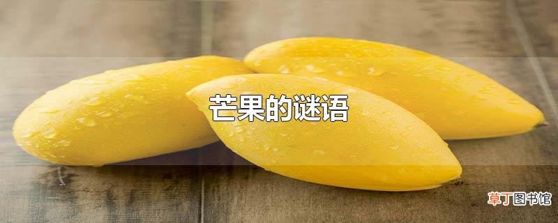 芒果的谜语