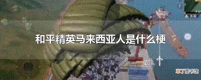 和平精英马来西亚人是什么梗