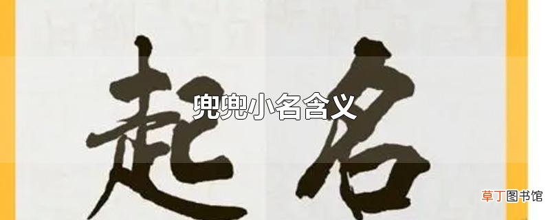 兜兜小名含义