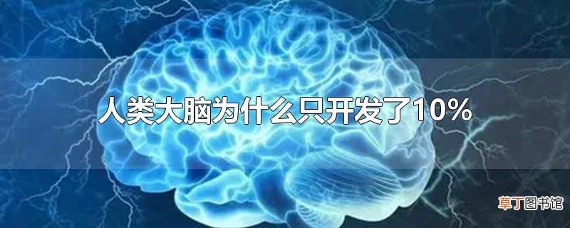 人类大脑为什么只开发了10%