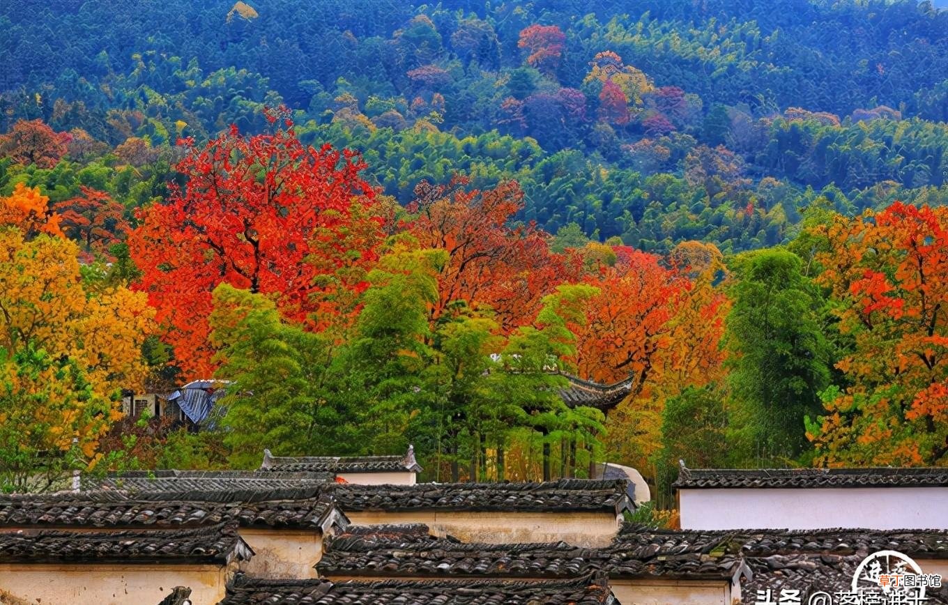 11月初去哪里旅游好 11月份去哪里旅游好玩