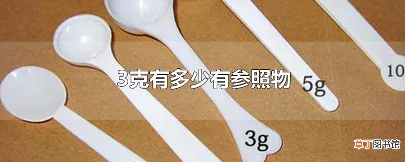 3克有多少有参照物
