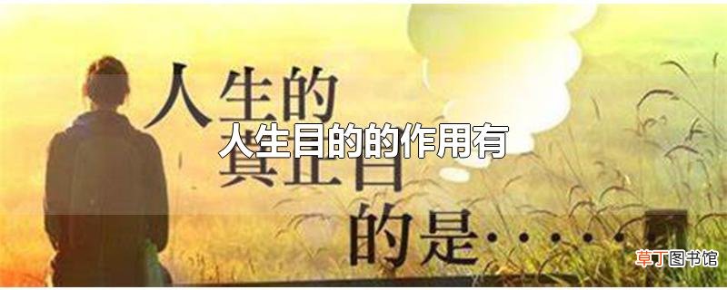 人生目的的作用有