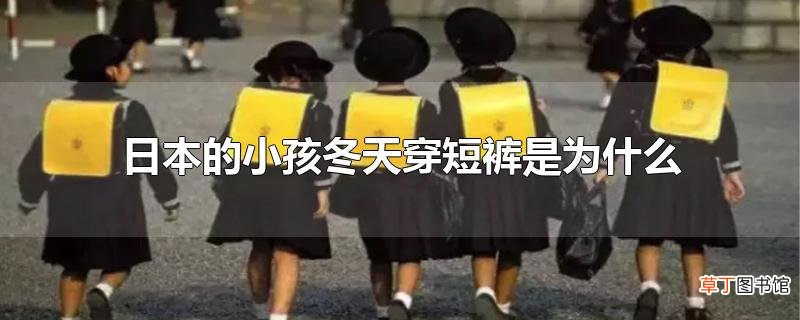 日本的小孩冬天穿短裤是为什么