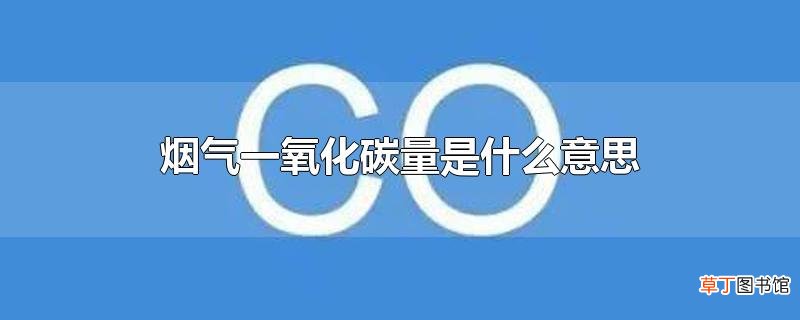 烟气一氧化碳量是什么意思