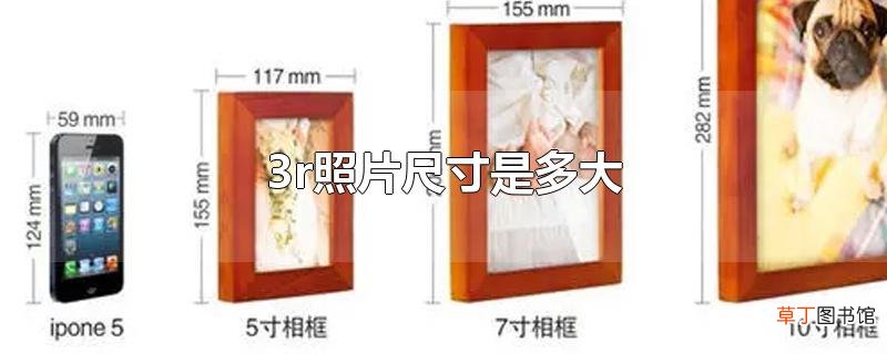3r照片尺寸是多大